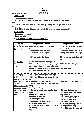 Bài giảng Tuần 26 - Tự nhiên-Xã hội 1: Con gà