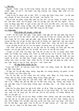 Phân tích bài Lặng lẽ Sa Pa của Nguyễn Thanh Long (ngữ văn 9)
