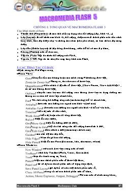 Sử dụng Macromedia Flash 5