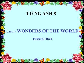 Bài giảng Tiếng Anh 8 Unit 14: Wonders of the world - Period 73: Read