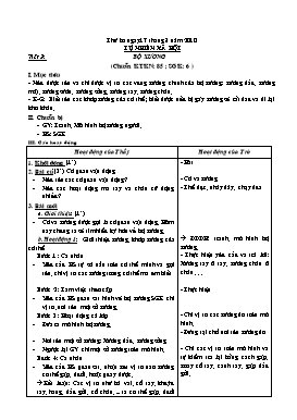 Giáo án Tự nhin xã hội - Tiết 2: Bộ xương