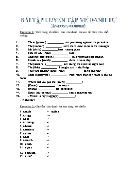 Bài tập luyện tập về danh từ (Exercises on nouns)